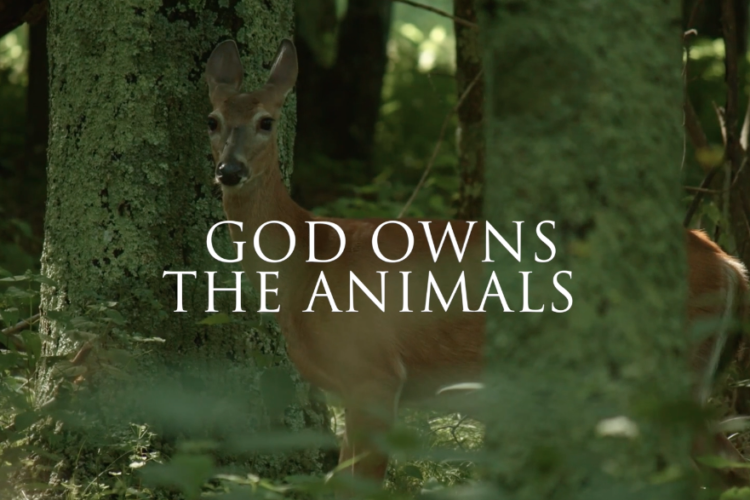 God owns the Animals